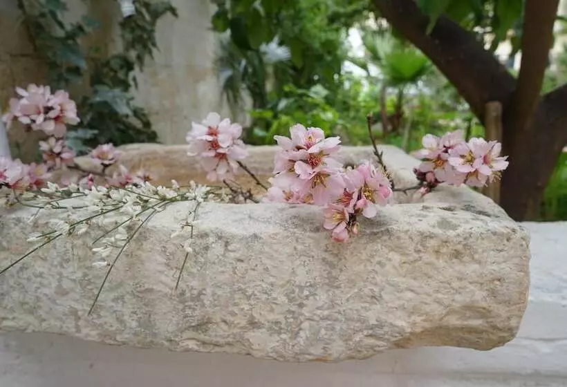 Femily B&b Bed And Breakfast Di Puglia In   Bari