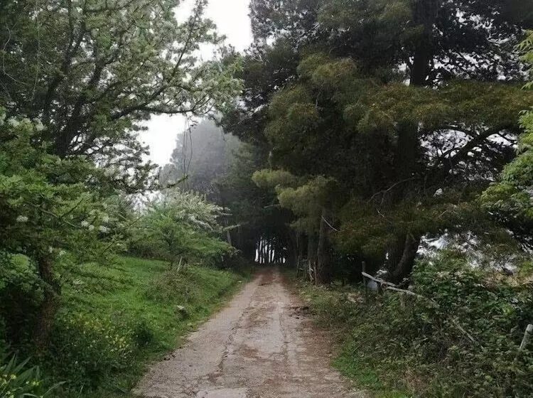 田舎風ホテル Agriturismo Bosco Pianetti