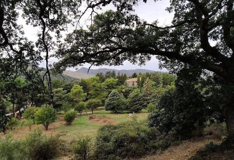 田舎風ホテル Agriturismo Bosco Pianetti
