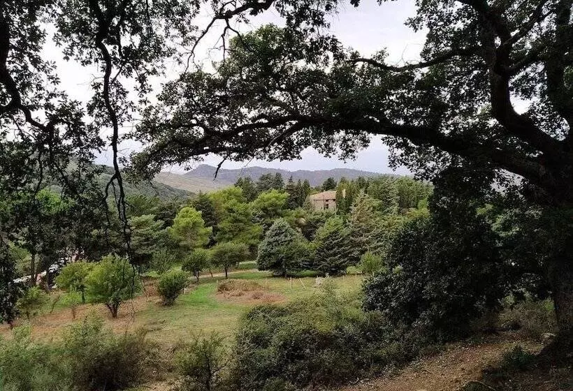 田舎風ホテル Agriturismo Bosco Pianetti