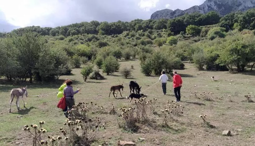 田舎風ホテル Agriturismo Bosco Pianetti