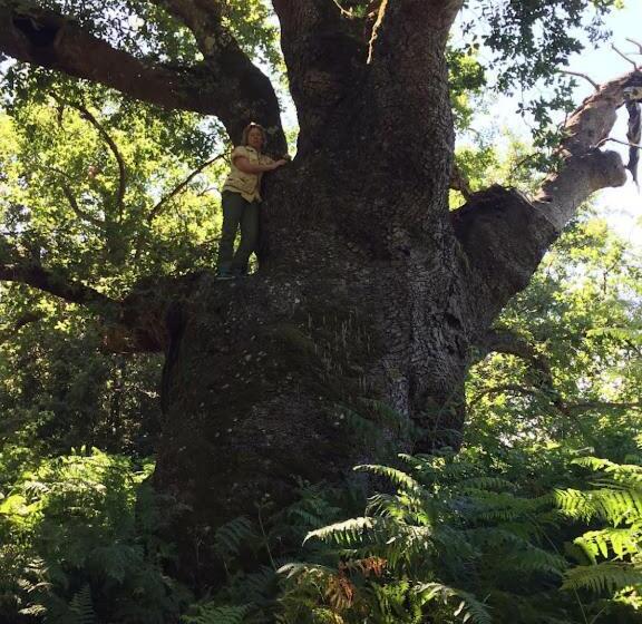田舎風ホテル Agriturismo Bosco Pianetti