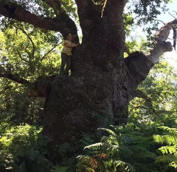 田舎風ホテル Agriturismo Bosco Pianetti