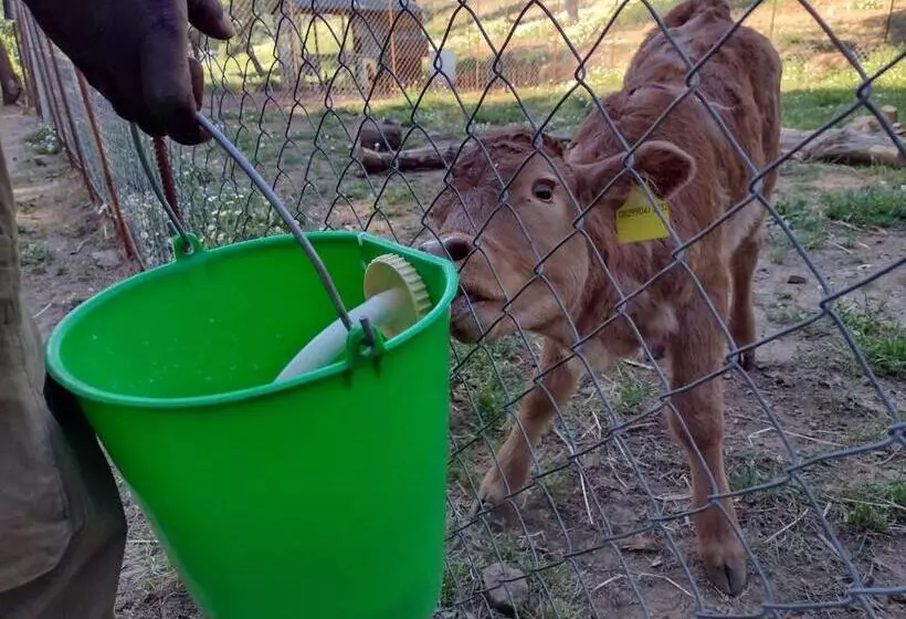 田舎風ホテル Agriturismo Bosco Pianetti