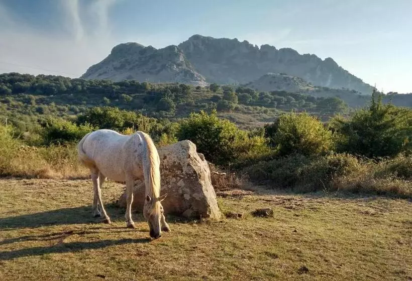 田舎風ホテル Agriturismo Bosco Pianetti
