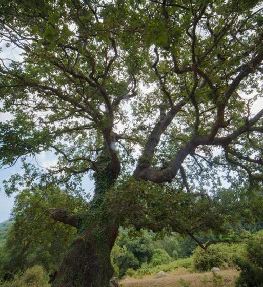 田舎風ホテル Agriturismo Bosco Pianetti