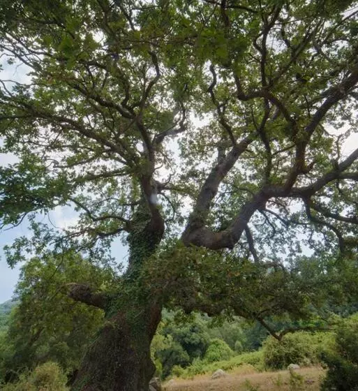 田舎風ホテル Agriturismo Bosco Pianetti
