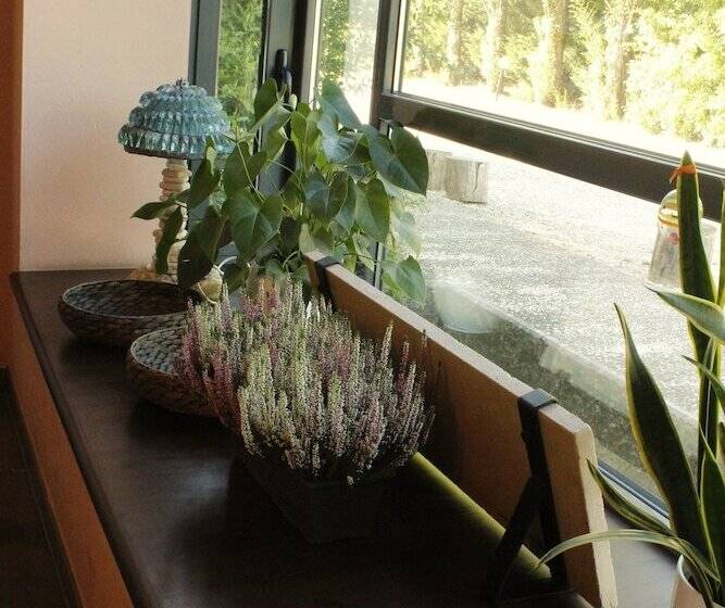 בית מלון כפרי Bio Agriturismo Tirtha