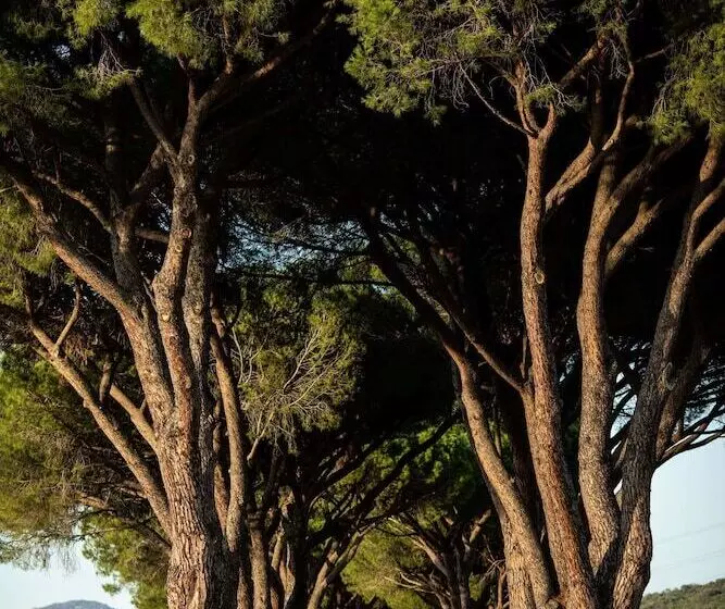 Maaseutuhotelli La Pescaia Resort