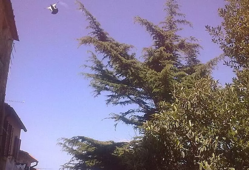 Majatalo Locanda Etrusca