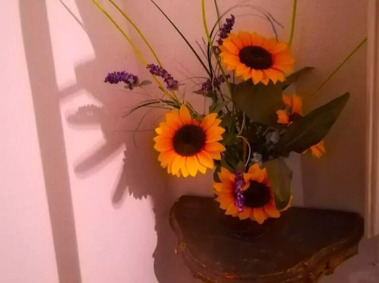 Majatalo Locanda Etrusca