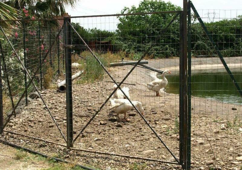 Agriturismo Masseria Portiere Stella