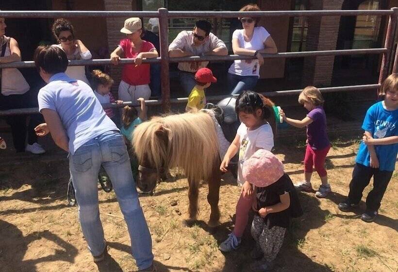 פונדק Pietriccio Rosso