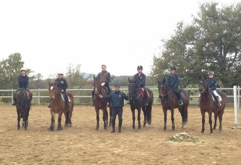 פונדק Pietriccio Rosso