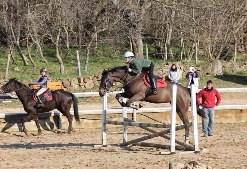 פונדק Pietriccio Rosso