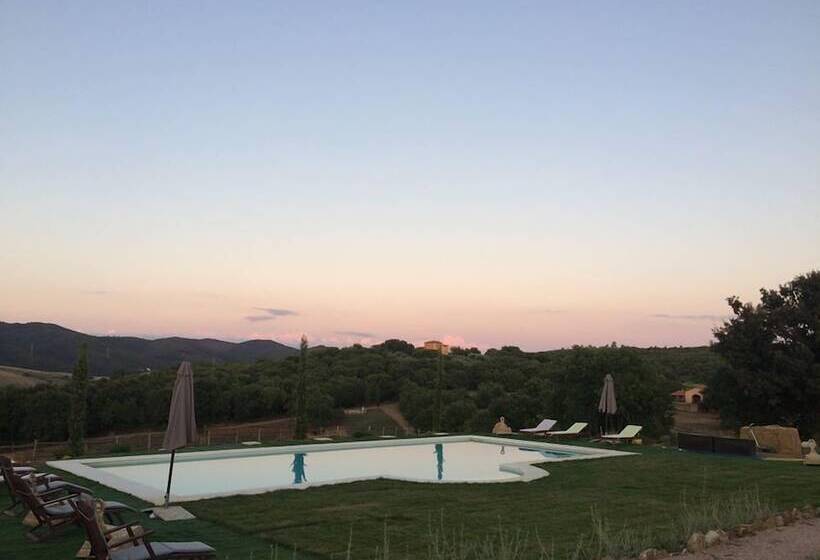 פונדק Pietriccio Rosso