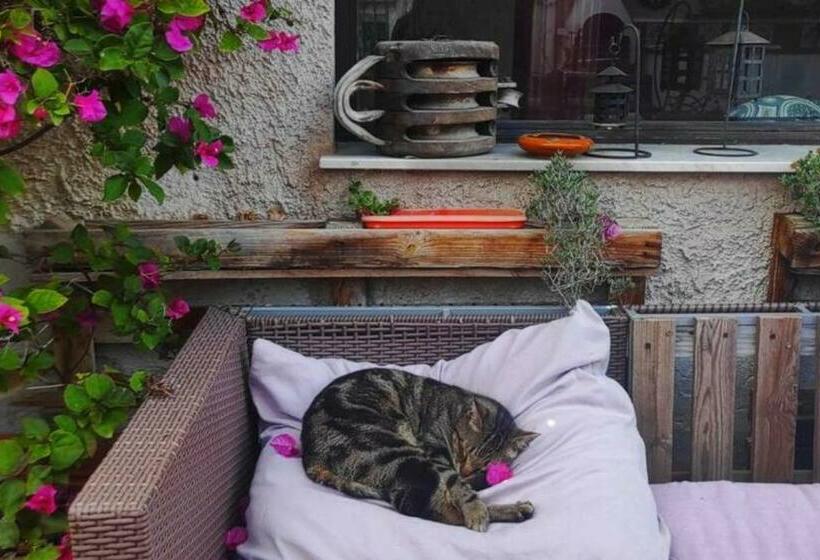 پانسیون Kaleidos