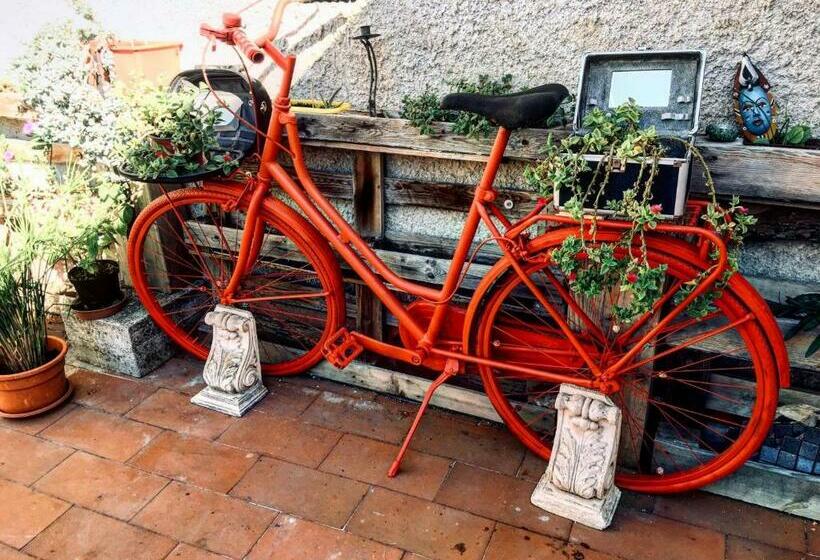 پانسیون Kaleidos