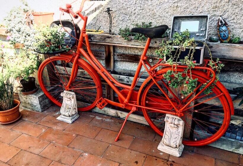 پانسیون Kaleidos