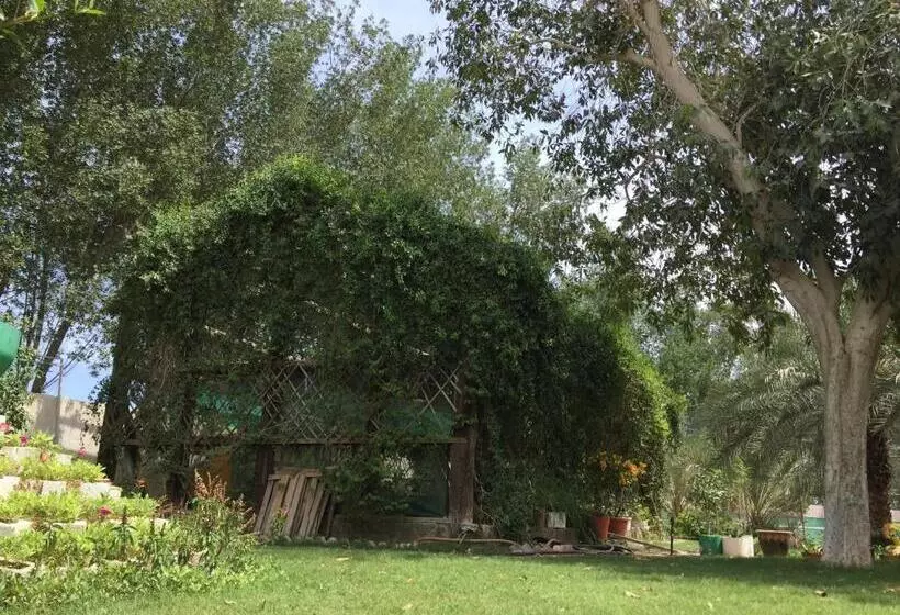 هتل Al Madinah Holiday