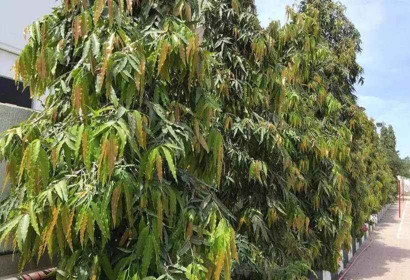 هتل Al Madinah Holiday