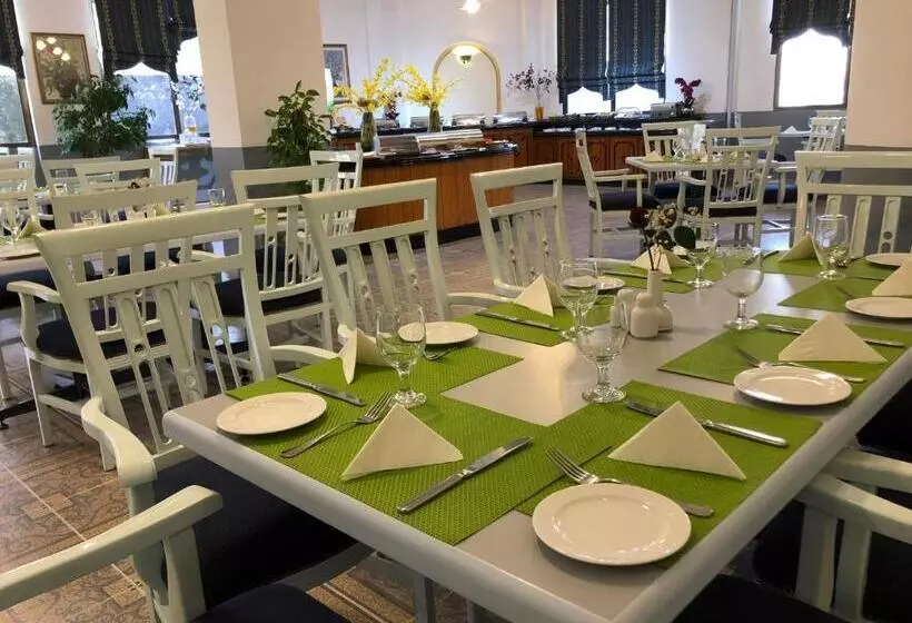 هتل Al Madinah Holiday