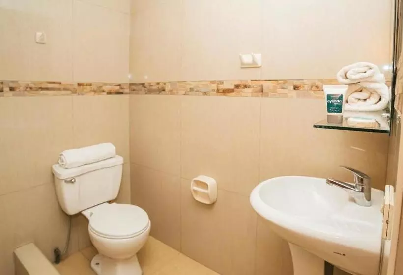 בית מלון כפרי Ayenda Posada San Juan