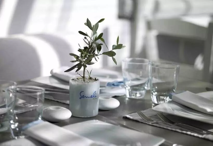 Semeli Hotel Mykonos