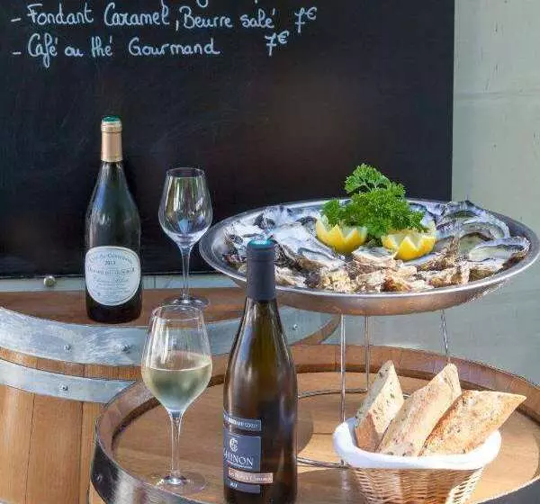 Brit Hotel Le Lion D Or Chinon