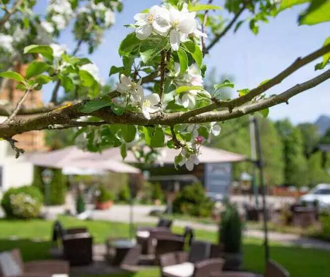 هتل Forsterhof Lebe Pur, Genieße Den Tag