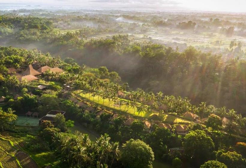 Maya Ubud Resort & Spa