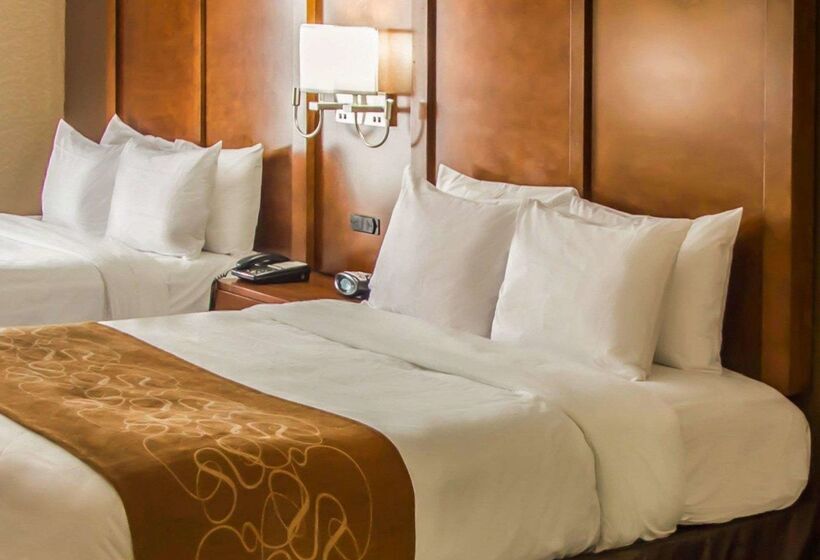 فندق Quality Suites Nyc Gateway