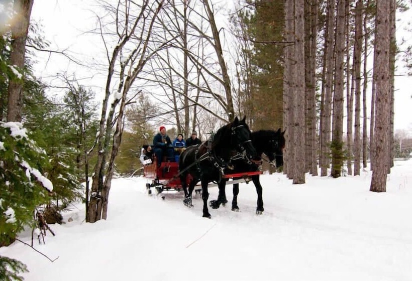 Отель Red Maple Inn And Suites