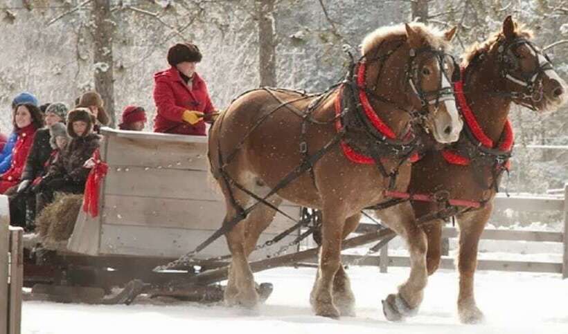 Отель Red Maple Inn And Suites