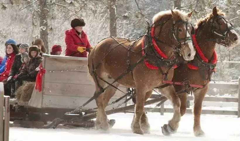 Отель Red Maple Inn And Suites