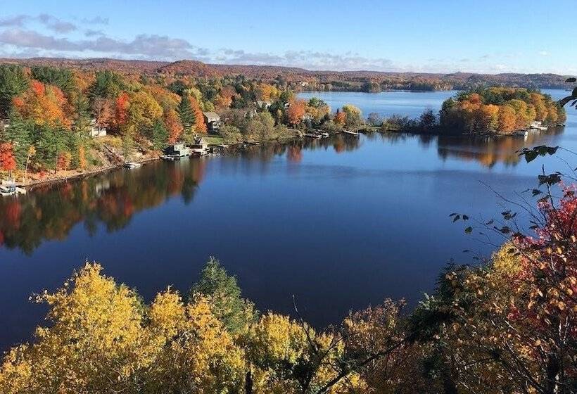 Отель Red Maple Inn And Suites