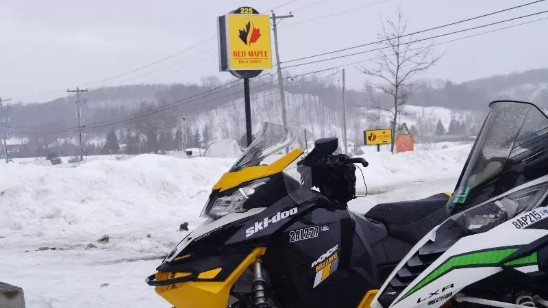 Отель Red Maple Inn And Suites