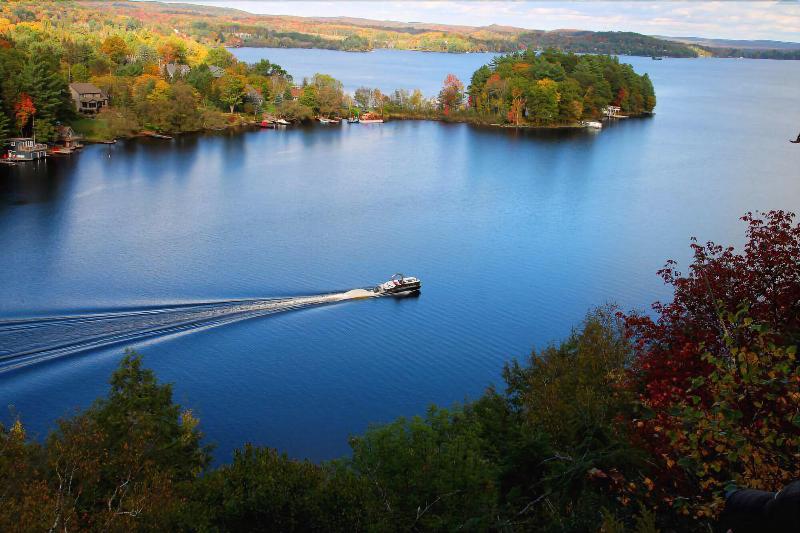 Отель Red Maple Inn And Suites