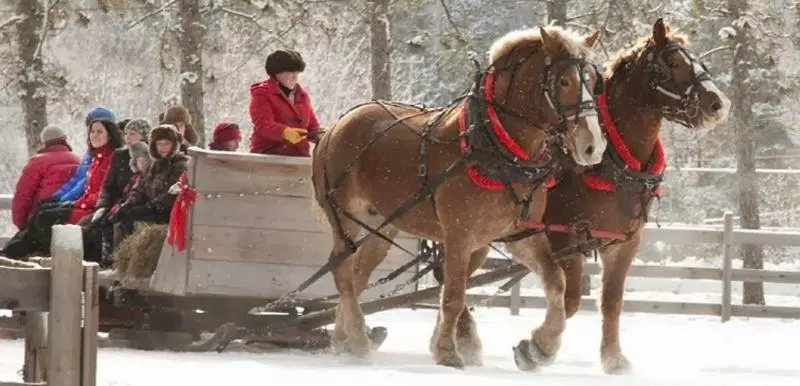 Отель Red Maple Inn And Suites