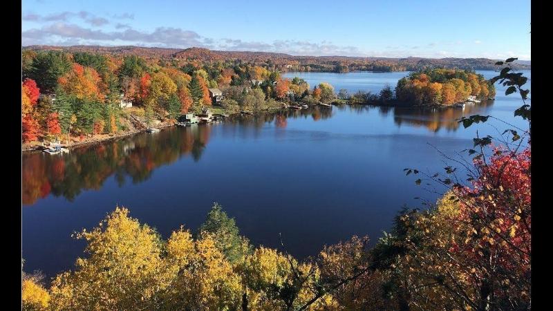 Отель Red Maple Inn And Suites