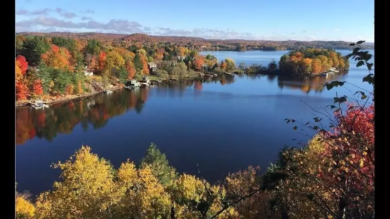 Отель Red Maple Inn And Suites