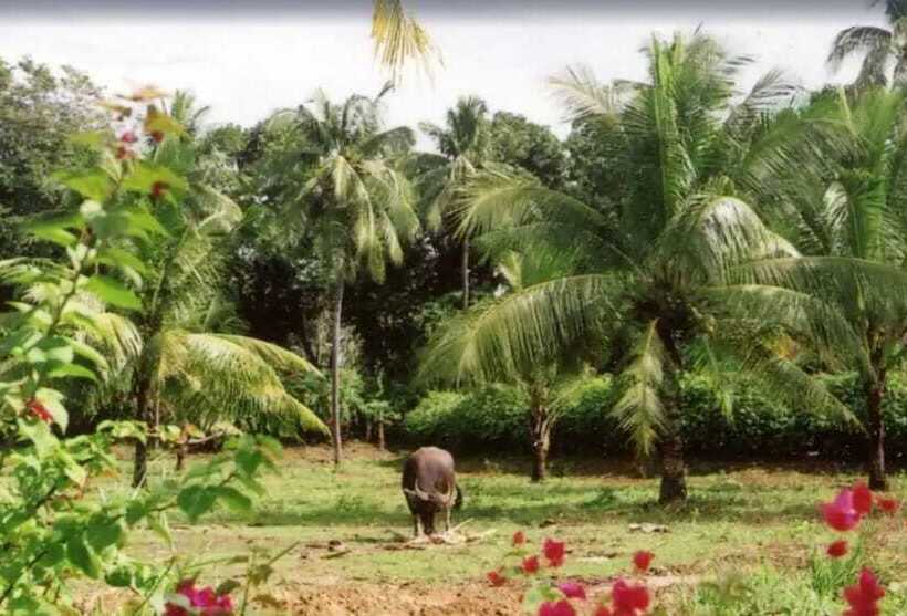 Resort Pulchra  Philippines