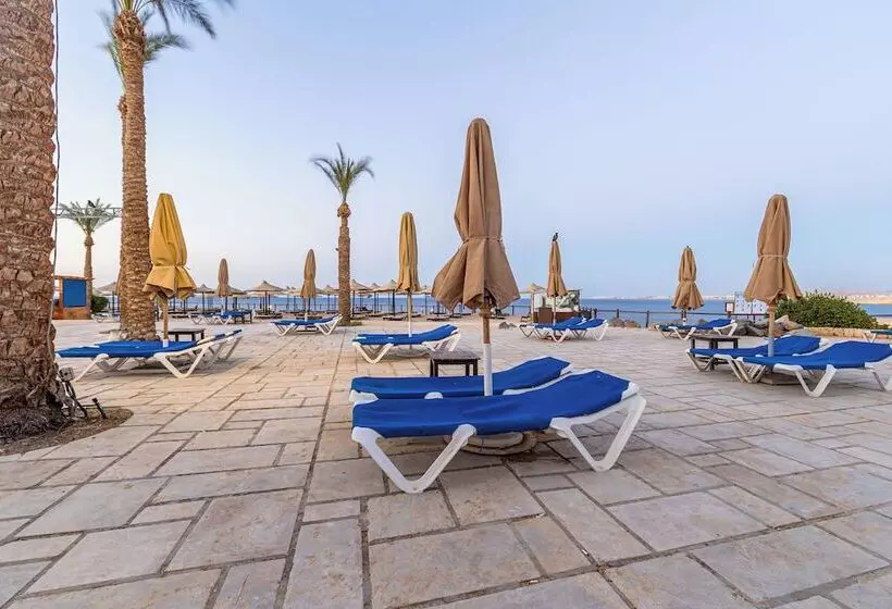 リゾートホテル The Sharm Plaza