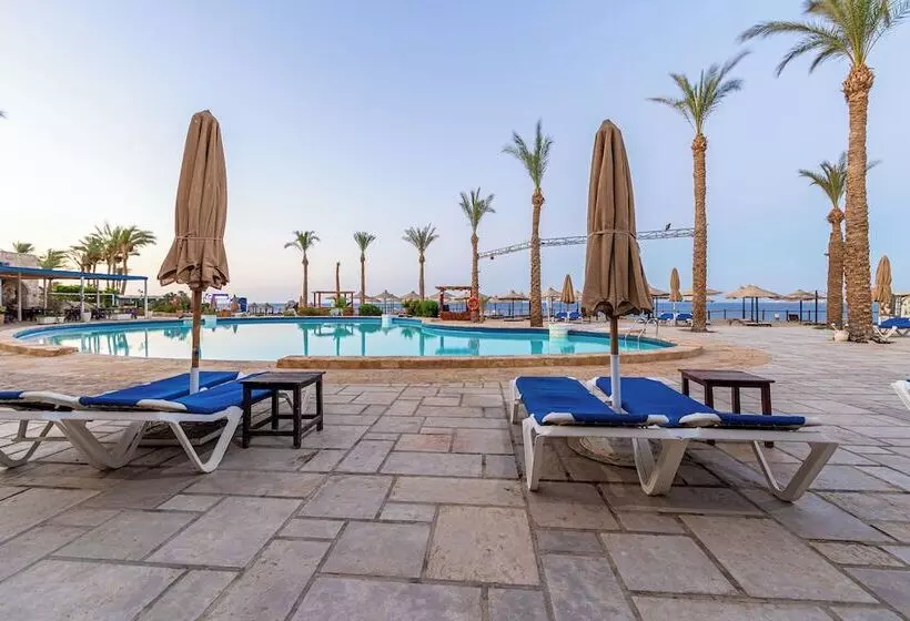 リゾートホテル The Sharm Plaza