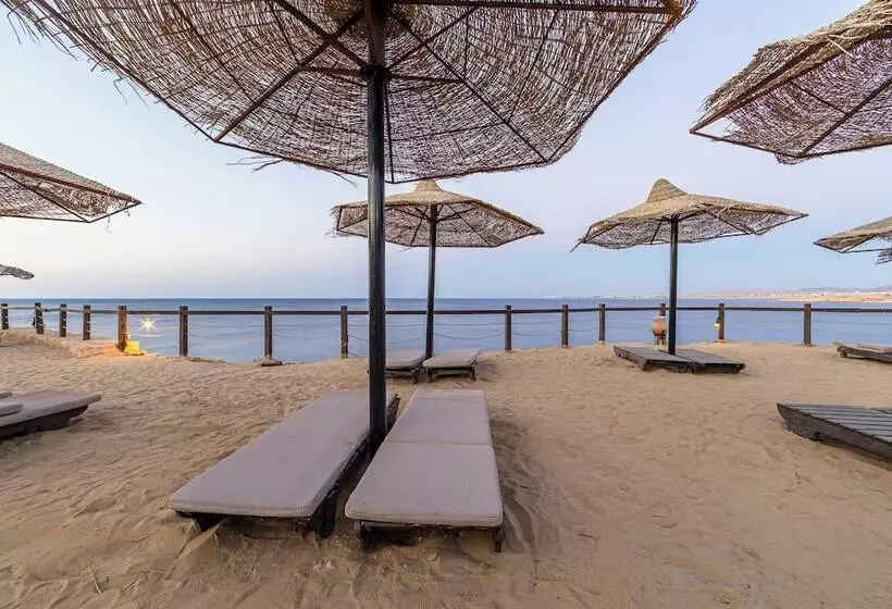 リゾートホテル The Sharm Plaza