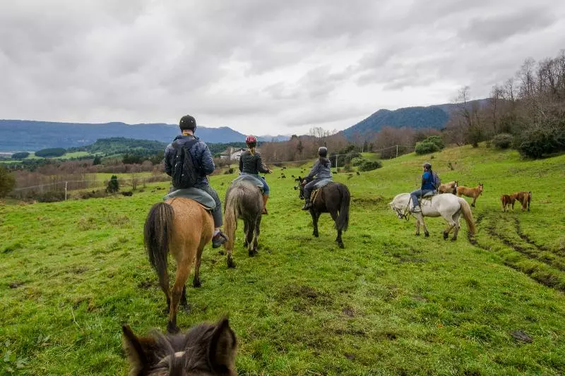 Termas Puyehue Wellness & Spa Resort