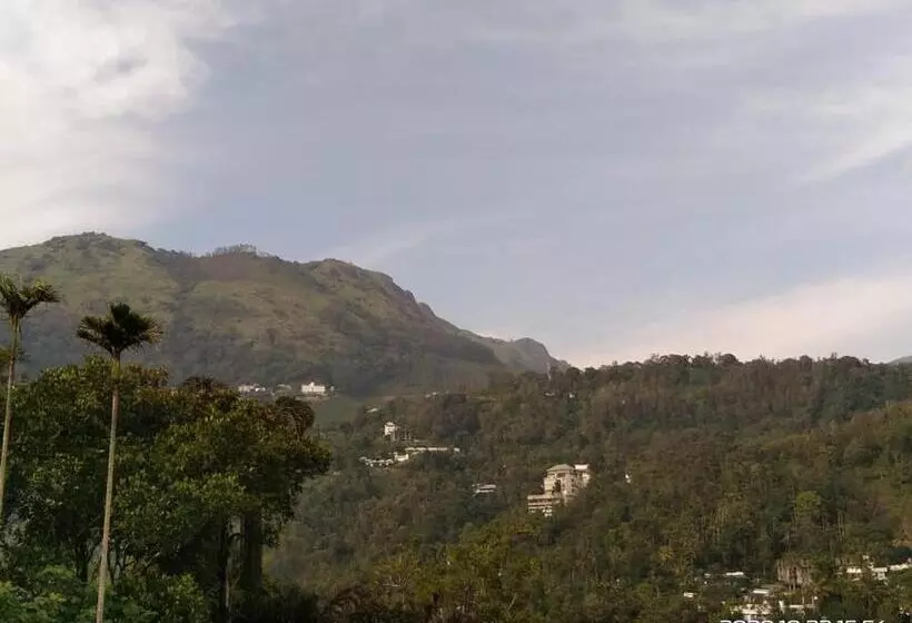 Bed and Breakfast Munnar Blue Mist