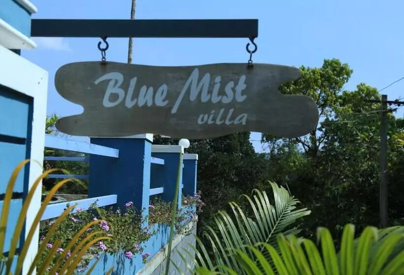 Bed and Breakfast Munnar Blue Mist