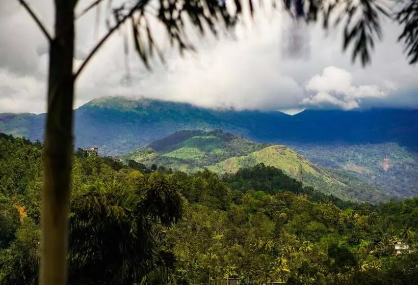 Bed and Breakfast Munnar Blue Mist