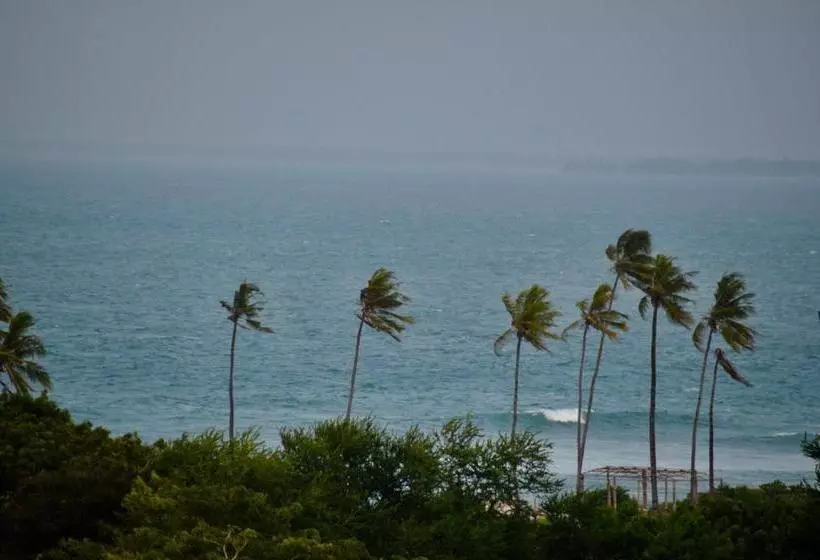 تختخواب و صبحانه Pearl At Oyster Bay